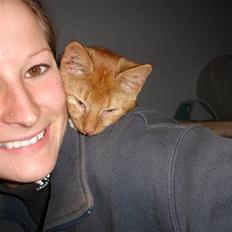 Blanding af racer Simba Den Farlige