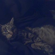 Blanding af racer tarzan<3