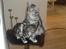 Maine Coon DK Legend Coon`s Cicerro - jae, det er med at holde styr på hende.. :o)