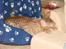 Ocicat Cassiopeia (kaldet Peia)