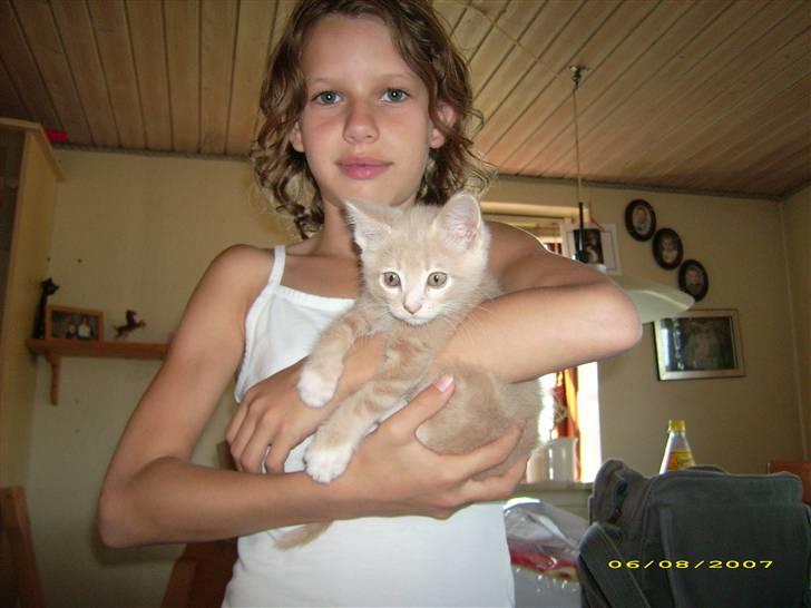 Huskat Sofus billede 2