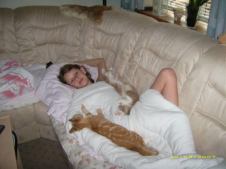 Huskat Sofus billede 4