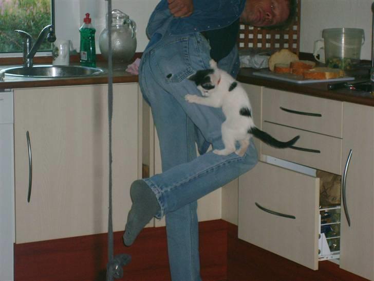 Blanding af racer nemo  - phuu det er hårdt det her billede 18