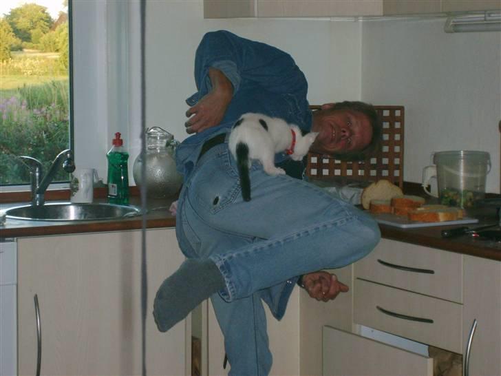 Blanding af racer nemo  - jaaa så nåede jeg det  billede 19