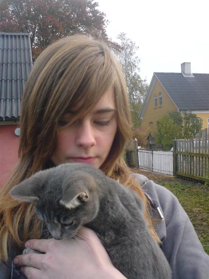 Huskat Bøllemis <3 RIP - Mig og min Bøllemisser billede 10