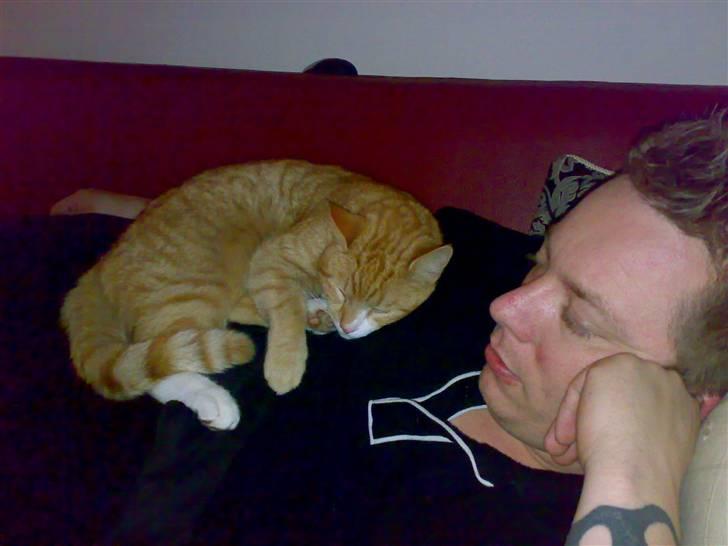 Huskat bubbi - her snorker den så lige med far ZZZZzzzzz billede 2