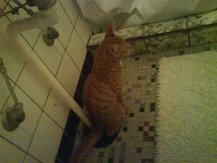 Huskat bubbi - tror ik mor er så glad for det, men det her er mere behageligt end bakken..... (heldigvis kun flydende) billede 4