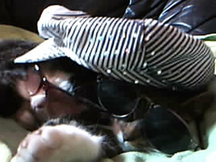 Huskat Plet - Huskat - Plet og Perle billede 4