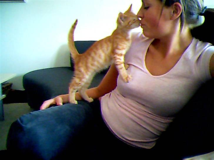 Huskat FELIX - Moar får lige et kys billede 3