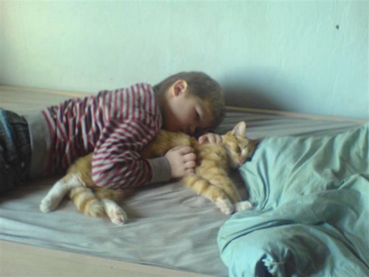 Huskat Lille Mis Rocky - Hygge med Oliver billede 14