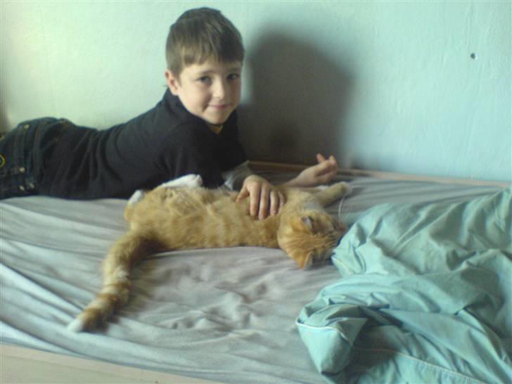 Huskat Lille Mis Rocky - Hygge med Philip. billede 17