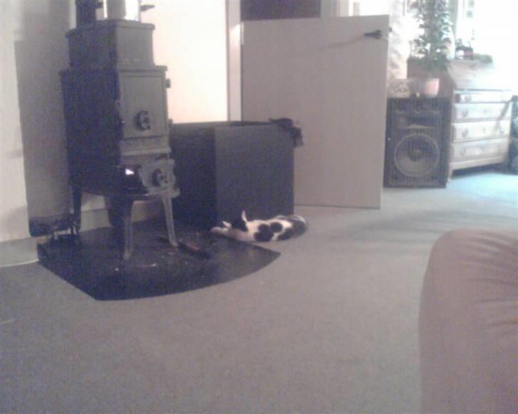 Huskat tulle billede 3