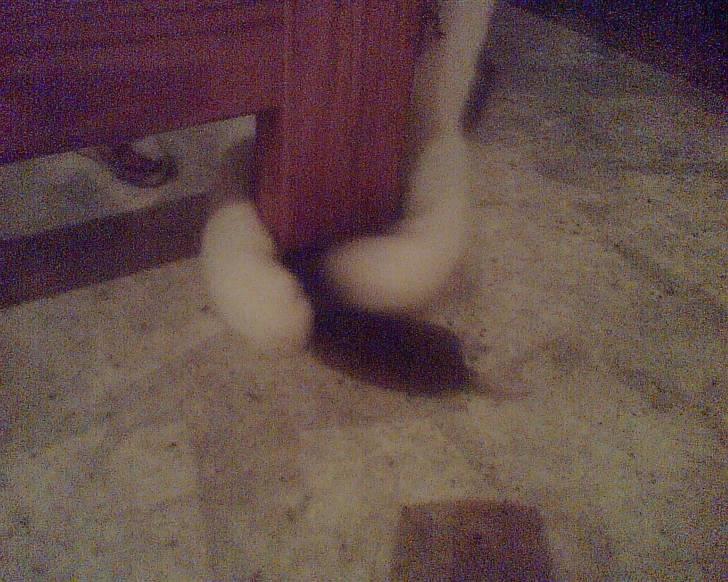 Huskat put - hmmm take away.. men hov jeg har jo selv fanget den billede 11