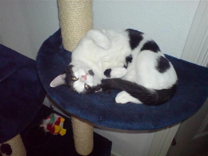 Huskat tulle Løbet hjemmefra :'( billede 3