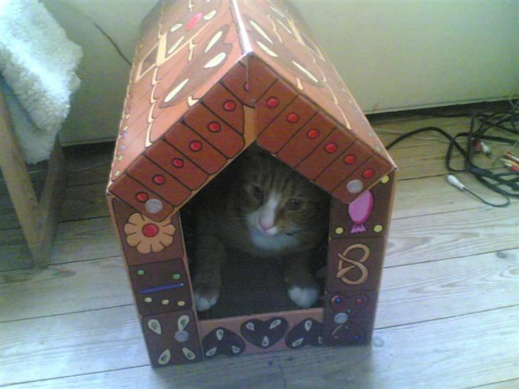 Huskat Michael R.I.P. - Har fået et kagehus :-)  billede 9