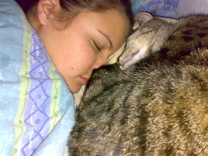 Huskat Magnus/Missen<3 - Billeder af Mor og MIssen der sover :) billede 14