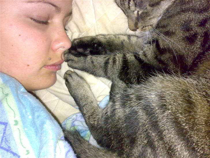 Huskat Magnus/Missen<3 - Sover stadig..:) billede 15