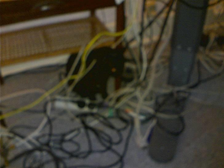 Huskat Millemus (død) - Millemus i sin urne på reolen billede 6