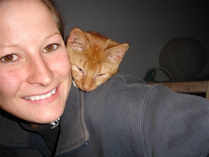 Blanding af racer Simba Den Farlige - lidt hygge billede 2