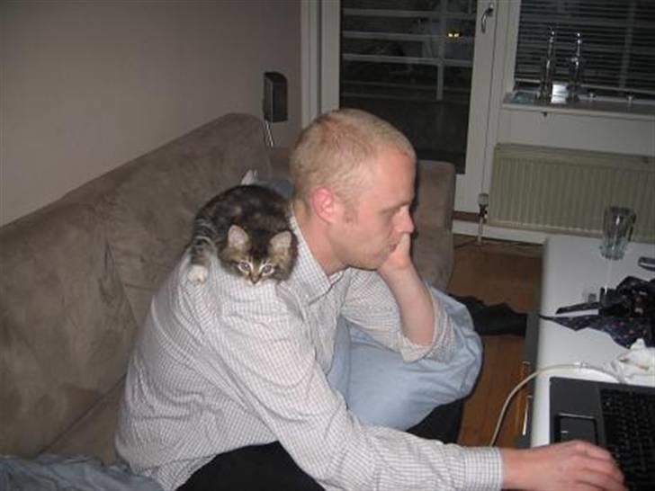 Blanding af racer Emil - Jeg hygger mig på fars skulder.. :) billede 10