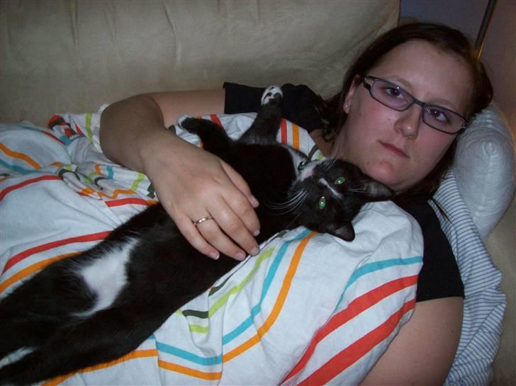 Huskat Figaro billede 16