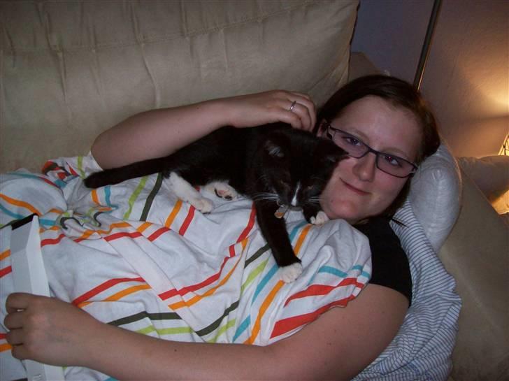 Huskat Figaro billede 17