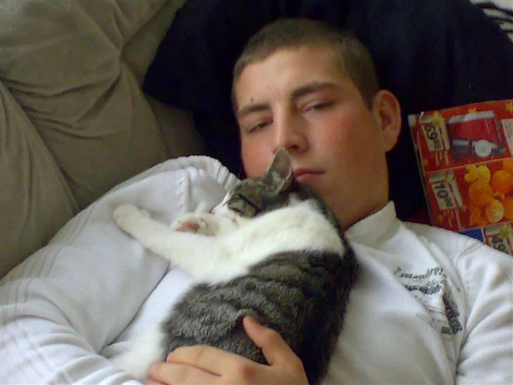 Huskat Trunte † R.I.P. † - her sover Trunte lige ved sin far billede 2