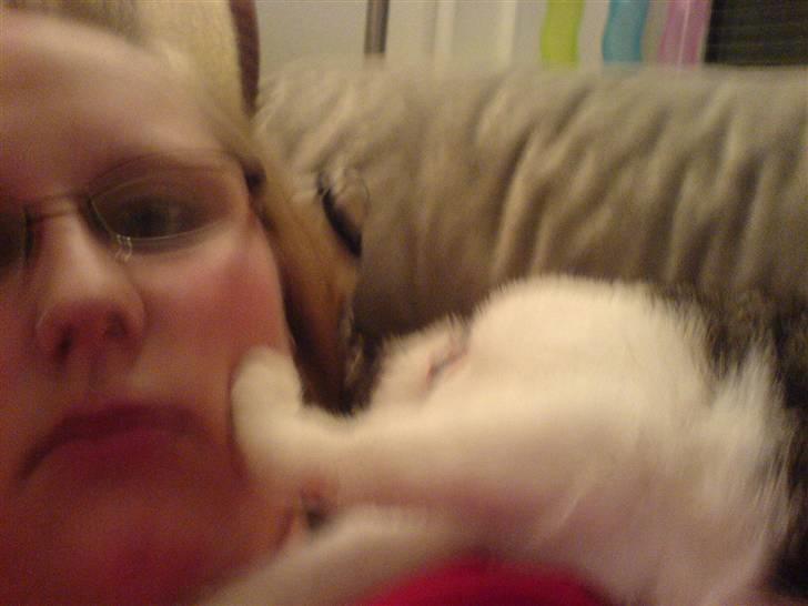 Huskat Trunte † R.I.P. † - hehe her ligger Trunte og sover med den ene pote på min kind :-D billede 4