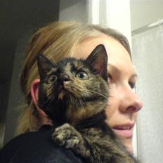 Huskat Mifune -- Flyttet