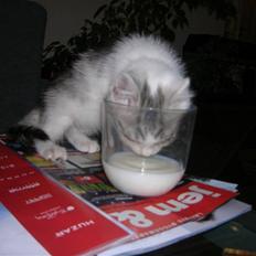 Blanding af racer Ib