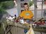 Cornish Rex Fansi Fler