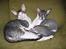Cornish Rex Fansi Fler