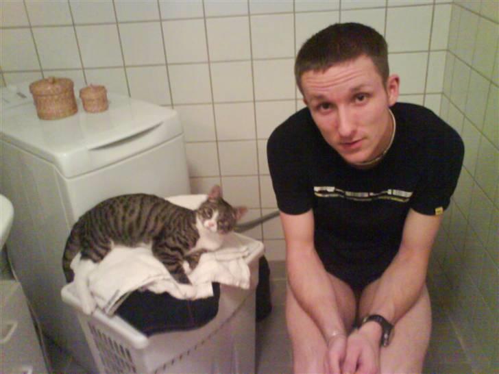 Huskat magnus - her ligger jeg når mor eller far går på toilettet... her er jeg her lige med far.. han skider tror jeg for her lugter.. puha... billede 13