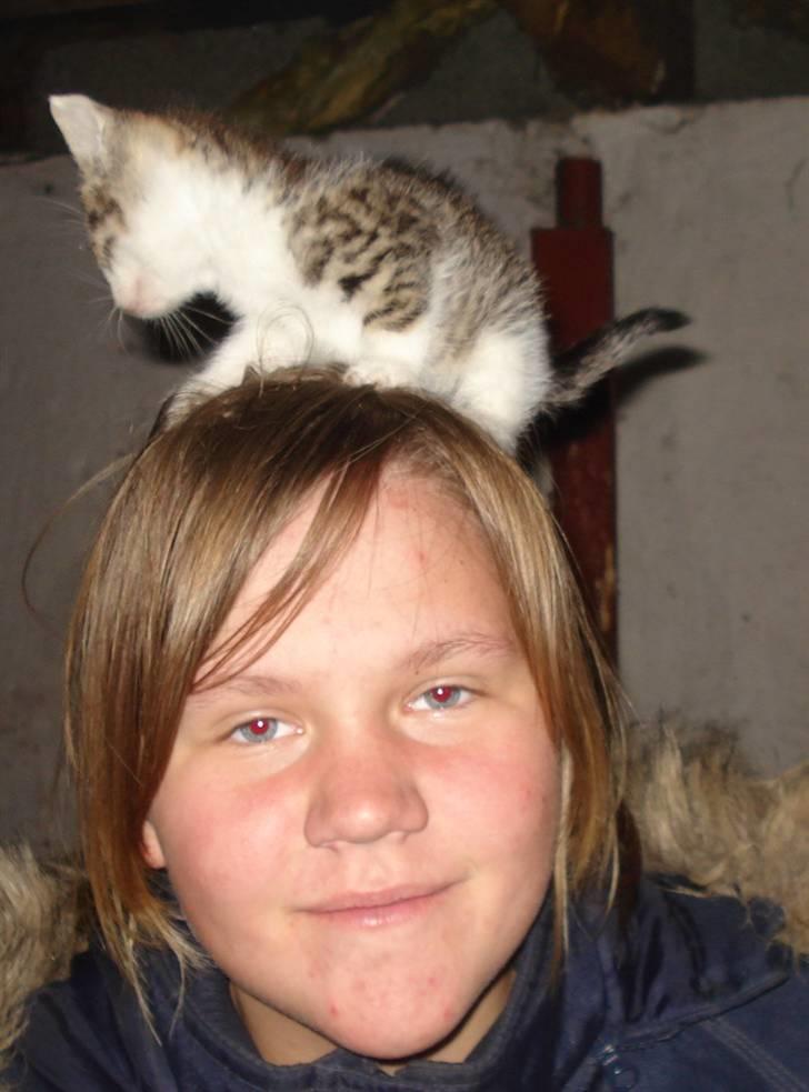 Huskat VRCL's Mini Oskar *RIP* billede 10