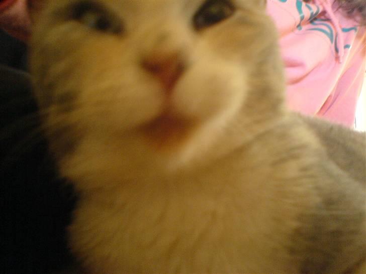 Huskat Tut<3 - jaa? xD billede 5