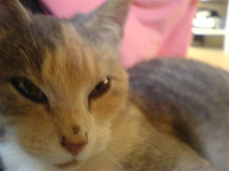 Huskat Tut<3 - <33333333333 billede 6