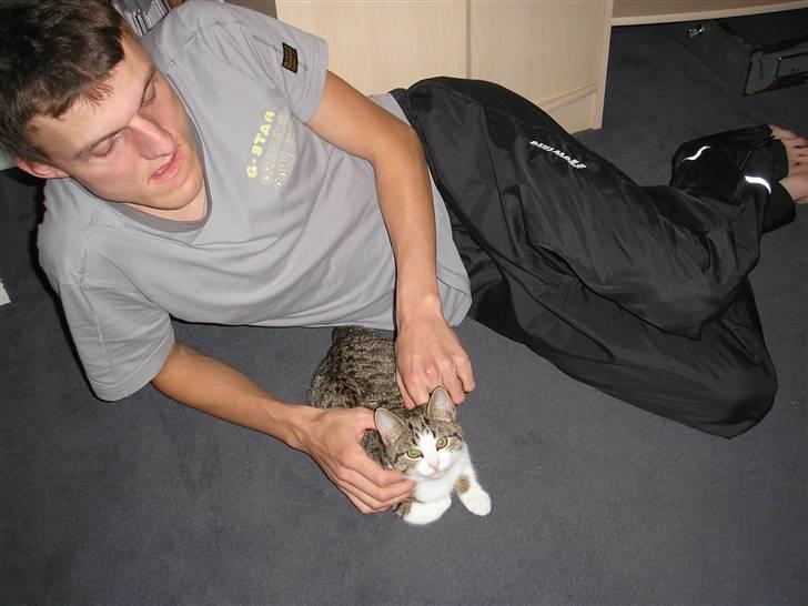 Huskat Mille - Mille sammen med far :-) billede 14