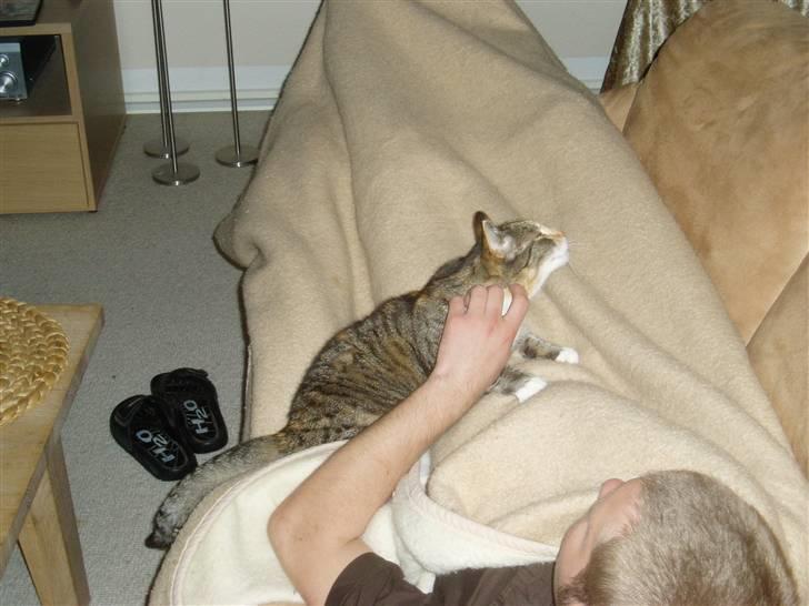 Huskat Trille - Hygge med far.. billede 2