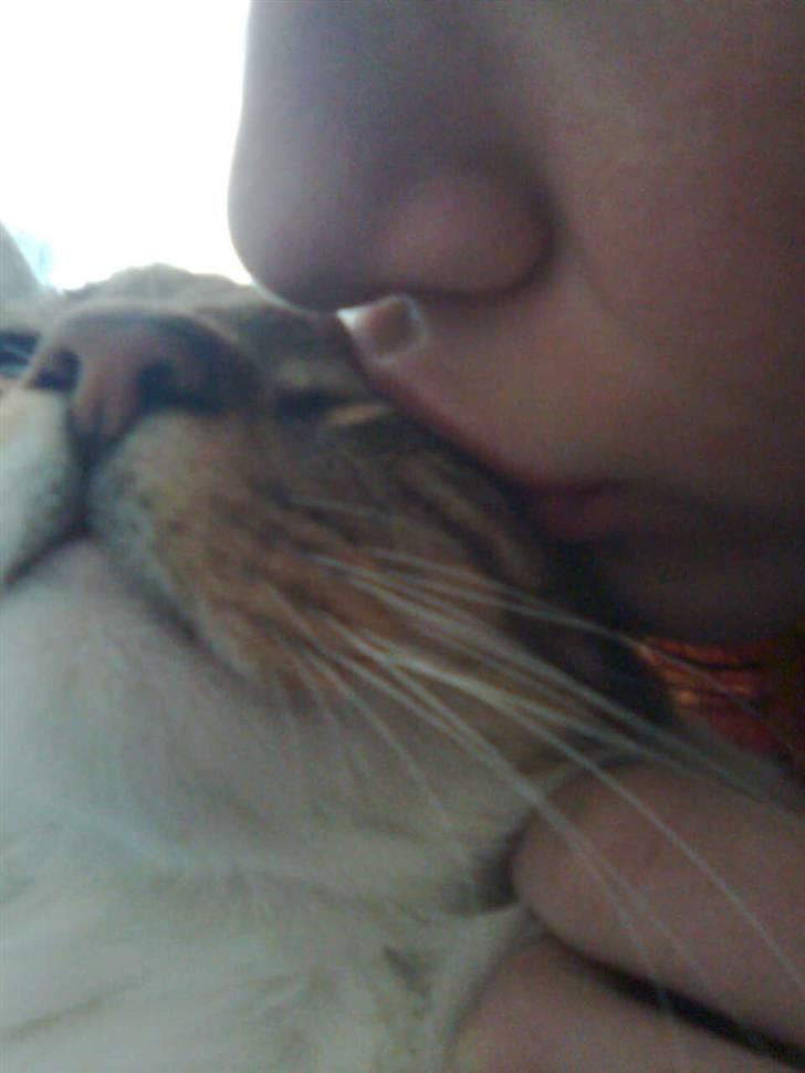 Huskat V I C T O R <3 billede 5