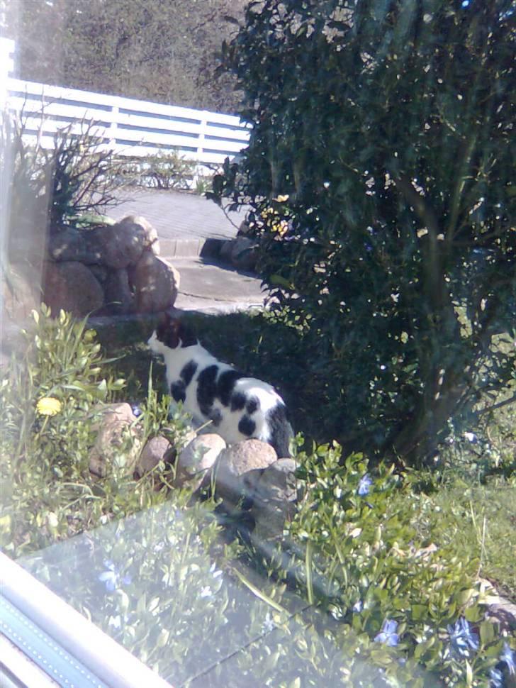 Huskat M I M I :D  - jeg elsker dig mimi <333 billede 1