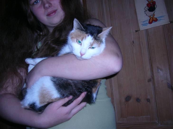 Huskat perle. - hej hvad laver du.  billede 6