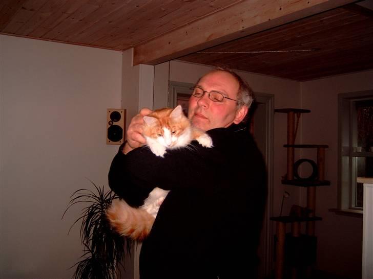 Blanding af racer Bandit - Mig og morfar billede 2