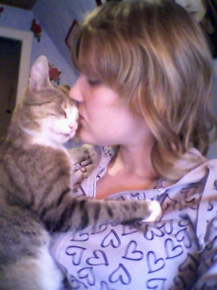 Huskat bølle - hun vil bare nusses billede 10