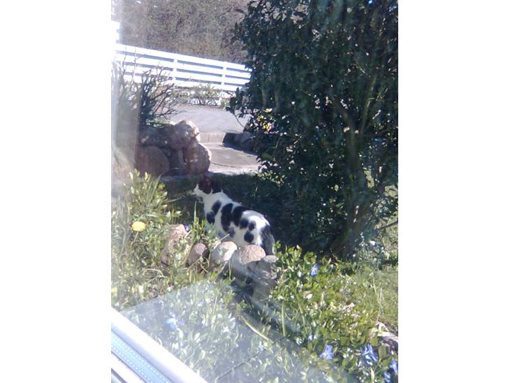 {{currentPhoto.altText}} billede {{currentPhoto.number}}