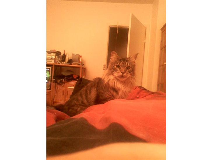 {{currentPhoto.altText}} billede {{currentPhoto.number}}