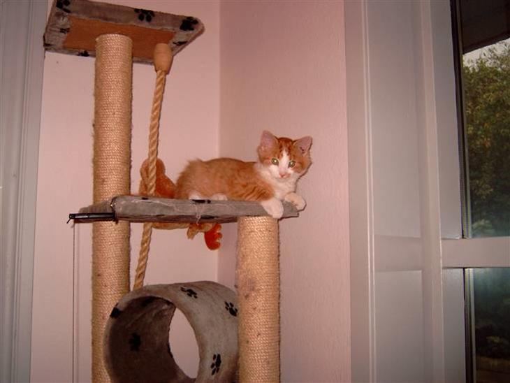 {{currentPhoto.altText}} billede {{currentPhoto.number}}