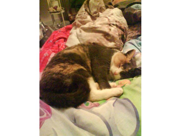 {{currentPhoto.altText}} billede {{currentPhoto.number}}