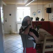 Blanding af racer mille