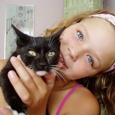 Blanding af racer Sofus