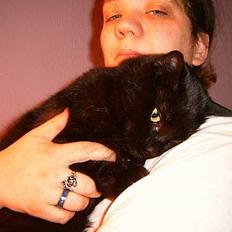 Blanding af racer bølle ( rendt væg ) :-((